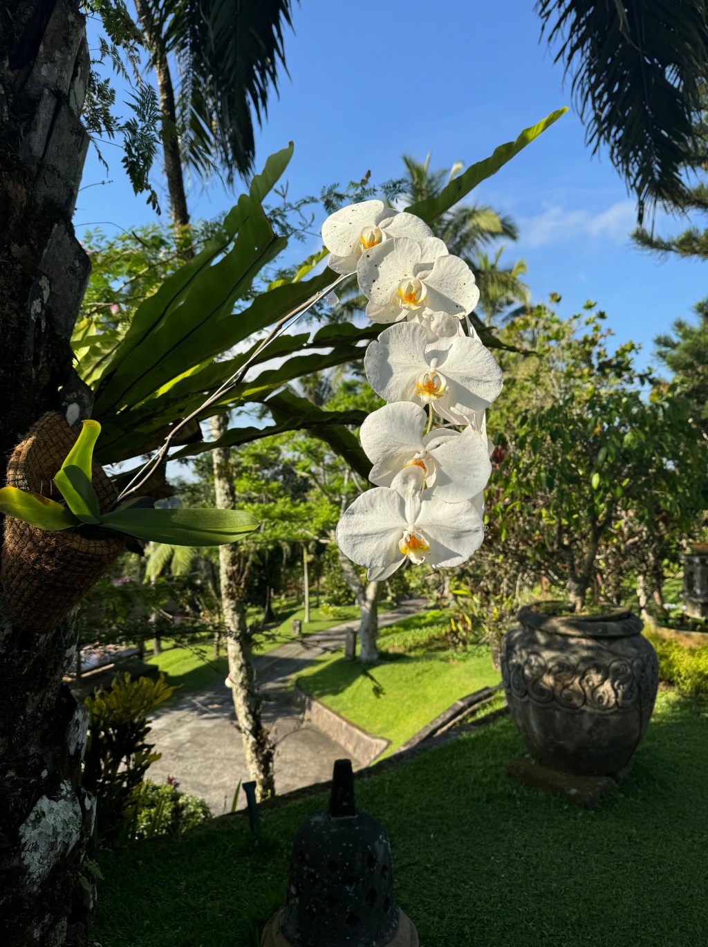 Jour de voyage : Ubud à Pemuteran