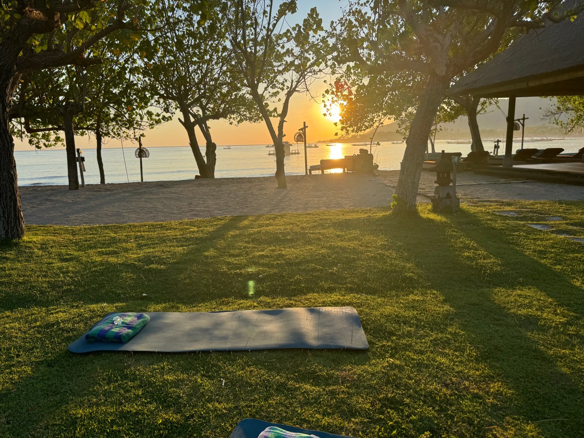La plus grosse tortue que j’ai jamais&nbsp;vue